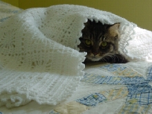 Moxie Blanket