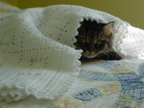 Moxie Blanket