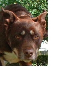 Mya's Head