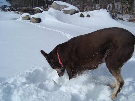 Mya Snow 2
