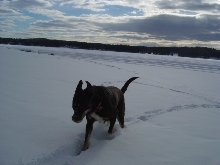 Mya Snow 3