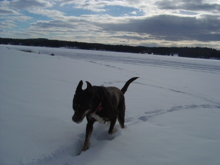 Mya Snow 3