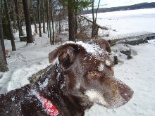 Mya Snow 4