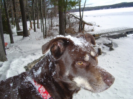 Mya Snow 4