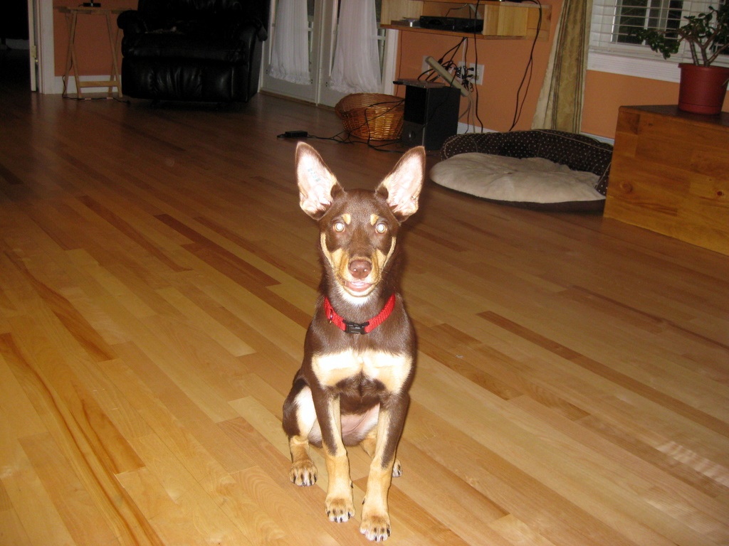 Quinn 9/28/08