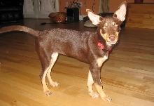 Quinn standing