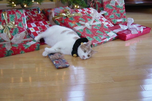 Buddy present