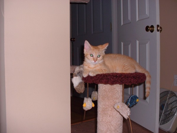 Gabby 14 weeks