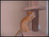 Gabby on Tree