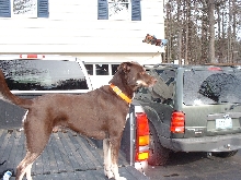 MyaTruck