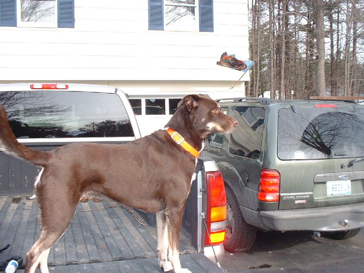 MyaTruck