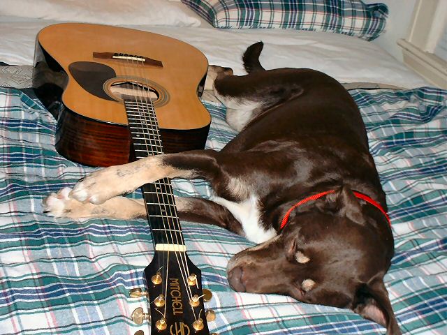 Mya sleeping