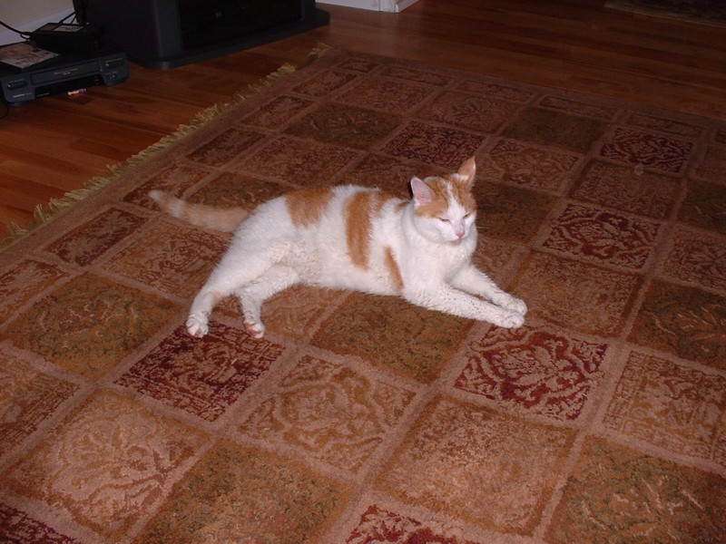 Tucker Waiting