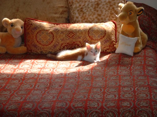 baby picture