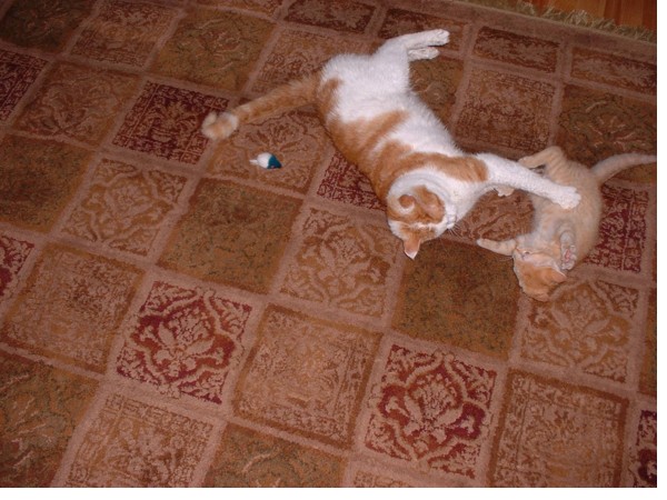 Playing