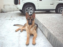 Brandon at 7 1/2 months
