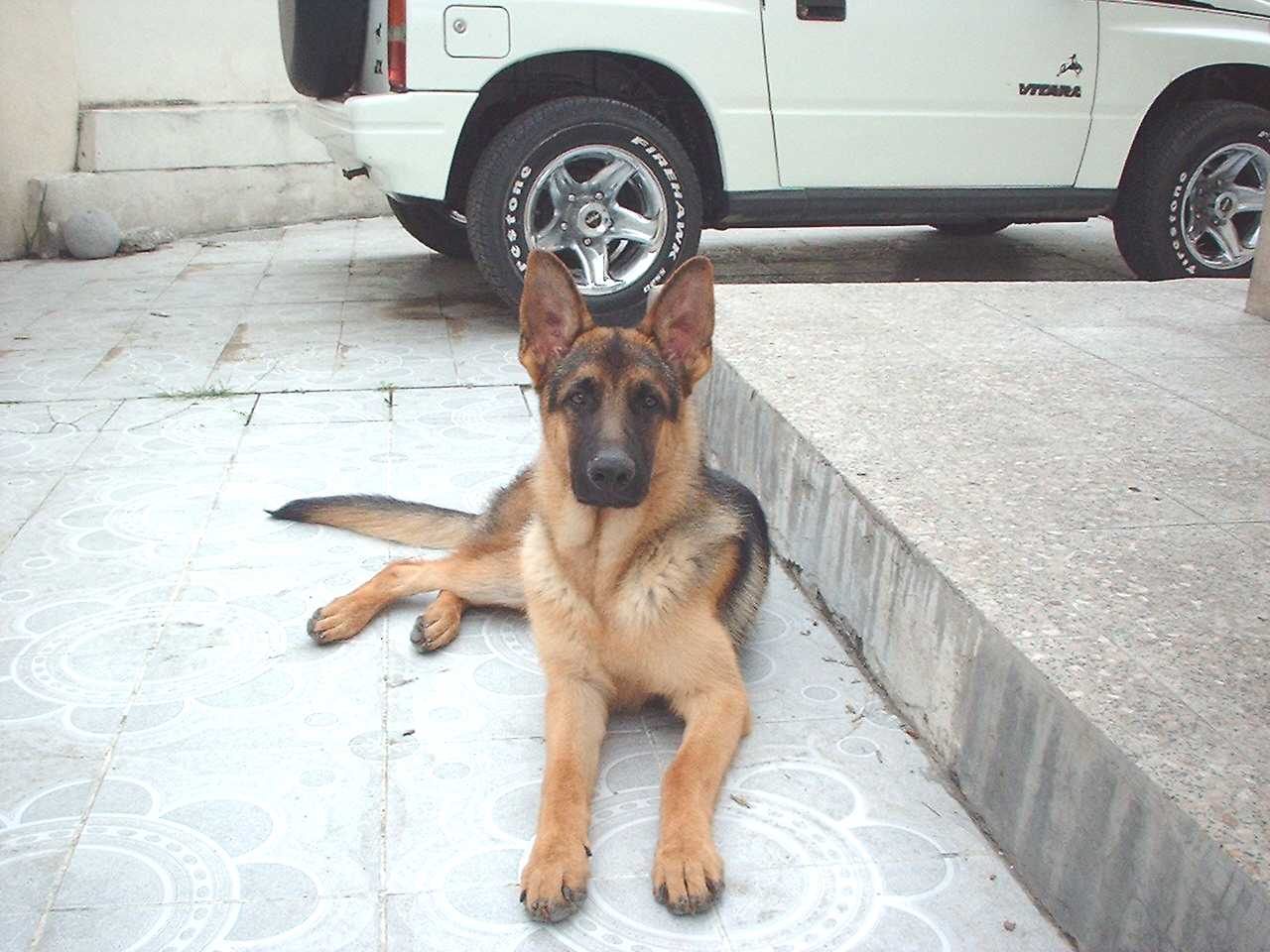 Brandon at 7 1/2 months