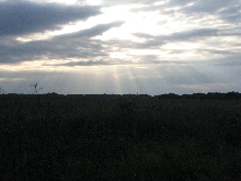 Sun
