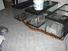 size comparison