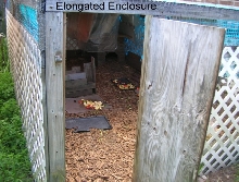 Elongated Outdoor Enclosure