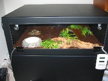 Cage 2