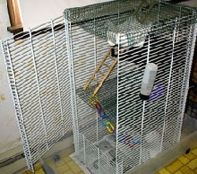 Home made cage