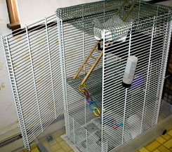 Home made cage