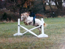 me 'n' Blizzard