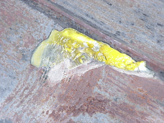 cooked egg on metal sheet while field collecting