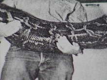same snake...