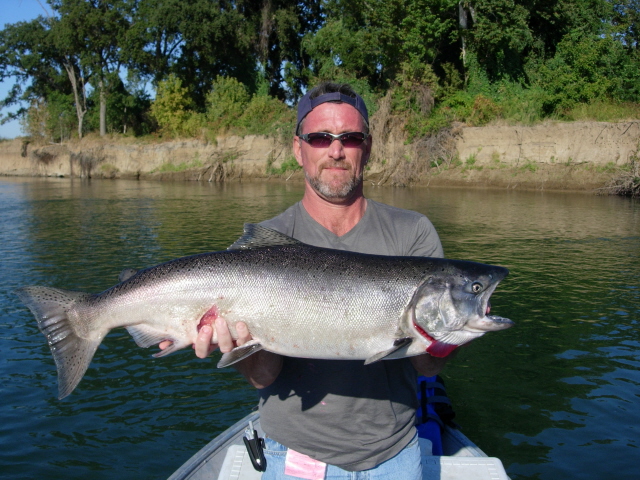 Me and Salmon