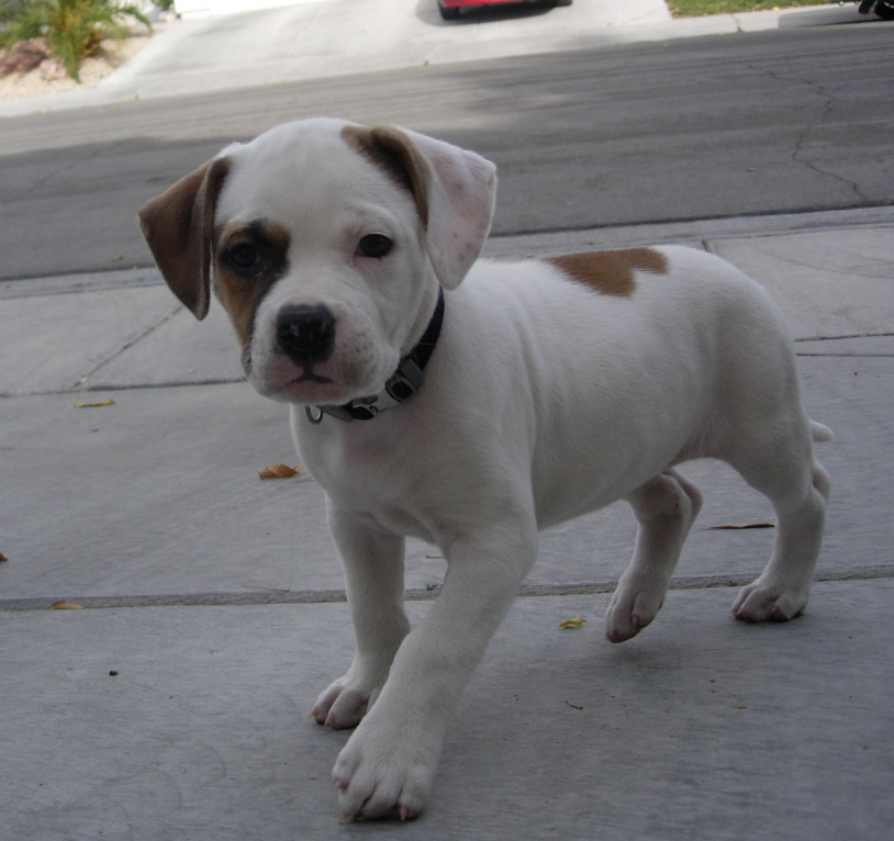 Ruby
