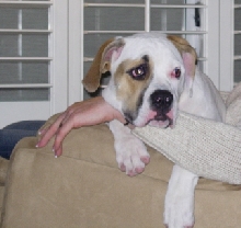Ruby#2