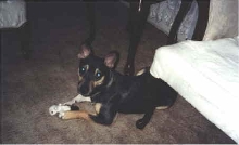 MY baby goofy