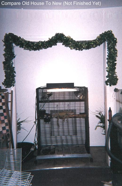 Smirnoff's New House
