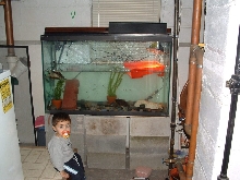 New 110 Gallon Tank