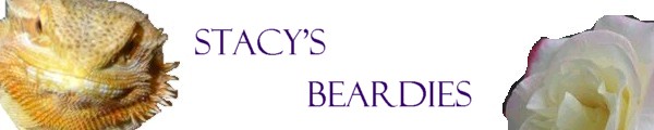 Stacy