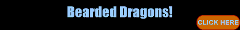 bkbanner8