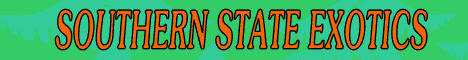 sbanner1