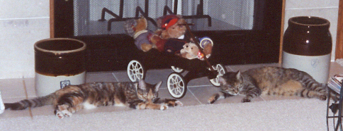 Two Cats Lounging