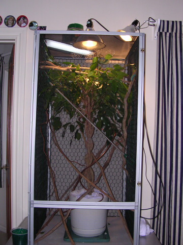 Dex's Cage