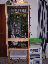 New Cage
