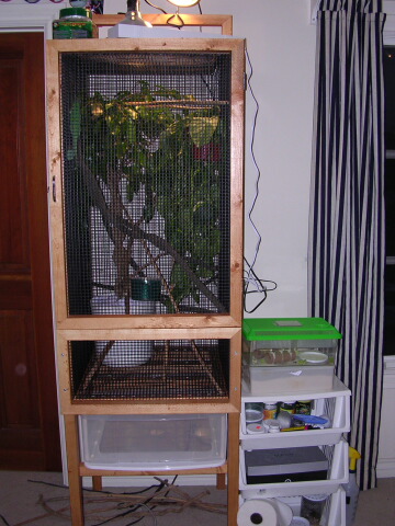 New Cage