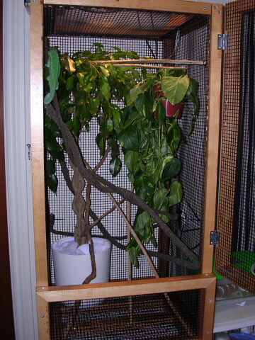 New Cage