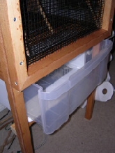 New Cage