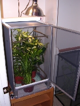 New Cage
