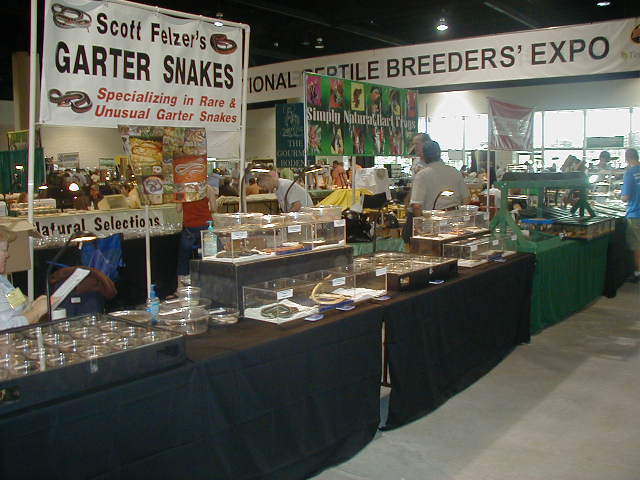 Daytona expo 2009 show Scott Felzer's Garter snakes booth