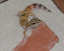 What are you looking at