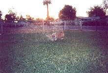 HIs favorite thing to do!