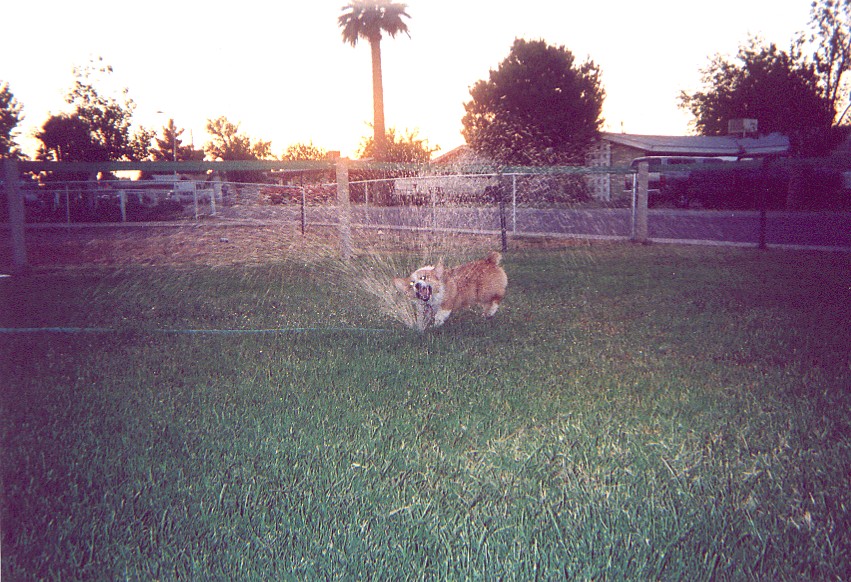 HIs favorite thing to do!